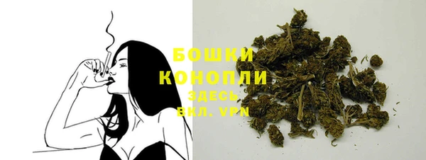 тгк Касимов