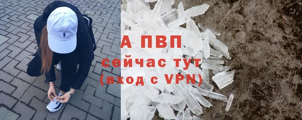 тгк Касимов