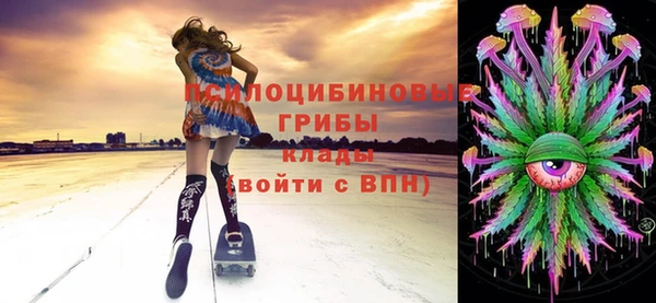 хмурый Карпинск