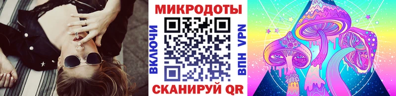 Псилоцибиновые грибы Psilocybe  Купить  Тихорецк 
